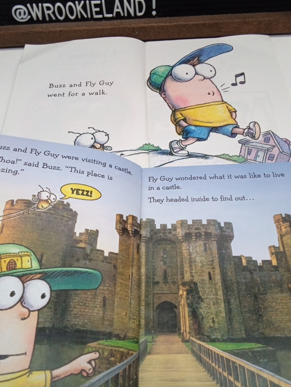 Fly Guy Level Reader Bundle Book#4 - Picture 5 of 6